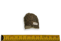 F 09524
<br/>
<br/>
<em></em>